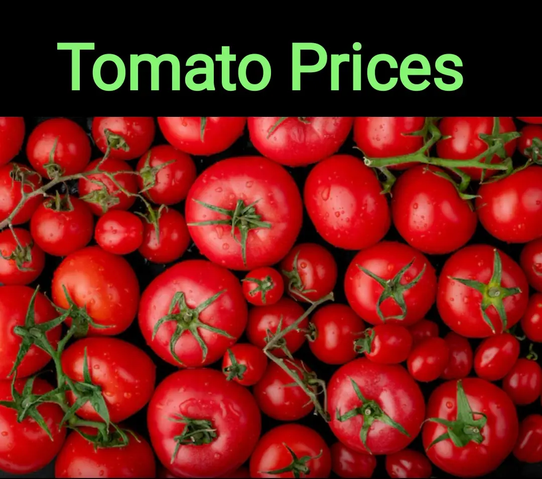 Tomato Prices Soar To Rs 120 140 Per Kg