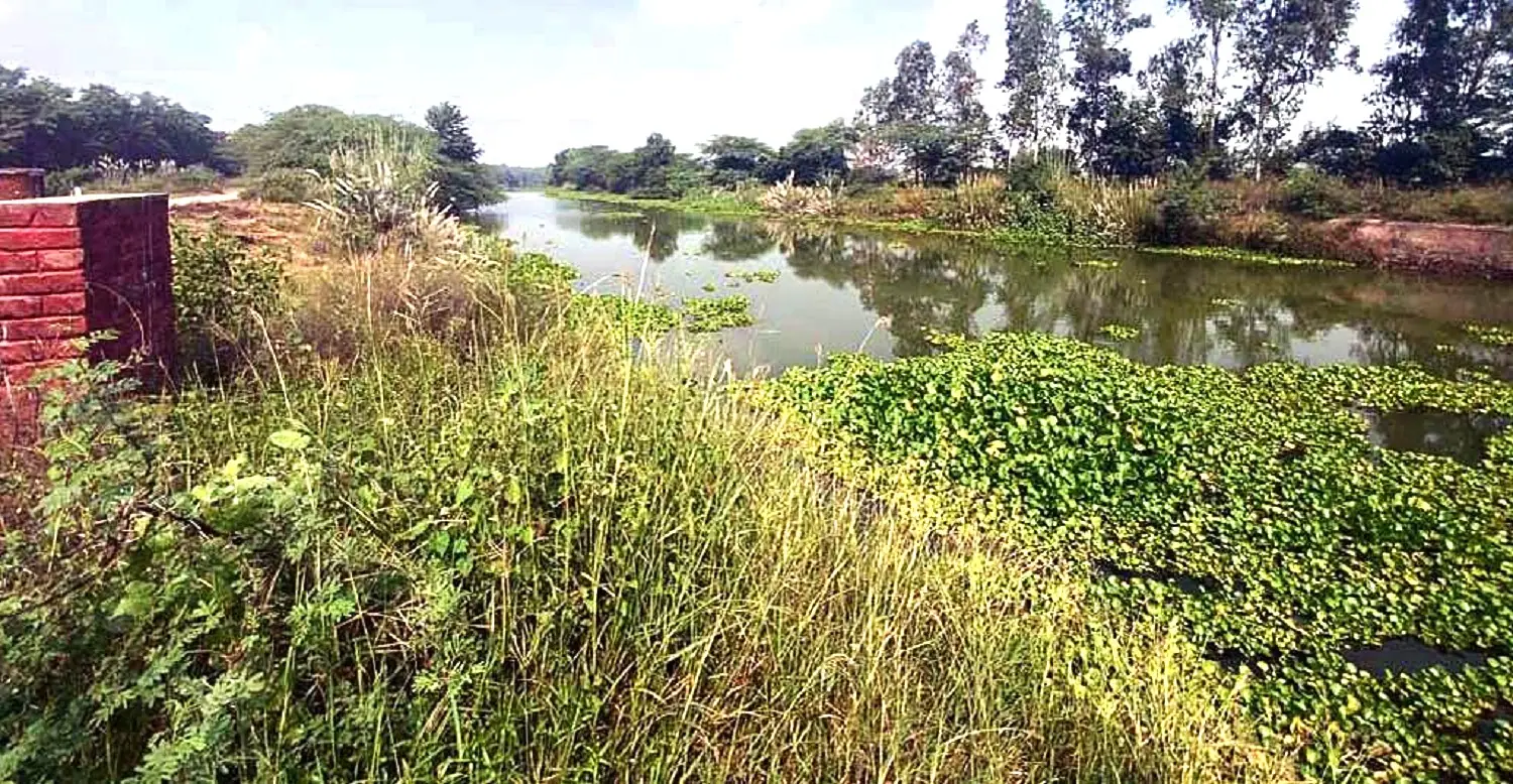 Kapoori-village-SYL-Canal